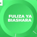 Everything You Need to Know About Fuliza Biashara for Kenyan Businesses