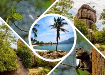 Best Travel Agencies in Kisumu: Your Guide to Exceptional Tours and Travel Services
