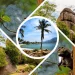 Best Travel Agencies in Kisumu: Your Guide to Exceptional Tours and Travel Services