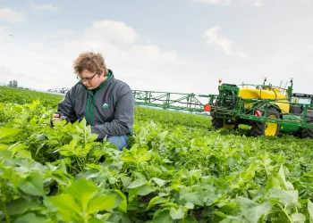 The Best Agricultural Inputs Suppliers in Kenya