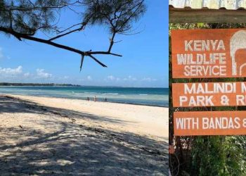Malindi Marine National Park and Reserve Entrance Fees