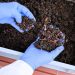 Comprehensive List of Soil Testing Companies in Kenya