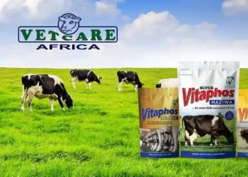 Top Animal Health Companies in Kenya for Quality Veterinary Solutions