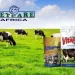 Top Animal Health Companies in Kenya for Quality Veterinary Solutions
