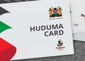Understanding Huduma Namba: Services You’ll Need It For and Concerns Over Data Privacy