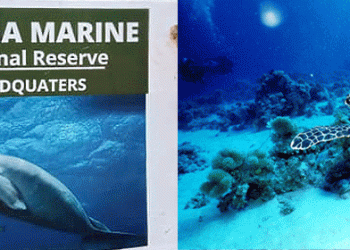 Guide to Kiunga Marine National Reserve Entrance Fees