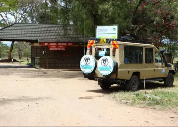 Best Travel Agencies in Nakuru: A Complete Guide for Adventurous Travelers