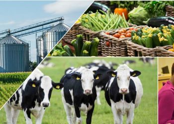 Top Agricultural Companies in Kenya