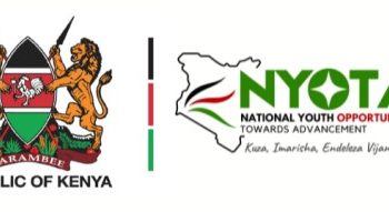 How to Apply for the Nyota Fund Youth Grant and Training Program