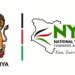How to Apply for the Nyota Fund Youth Grant and Training Program