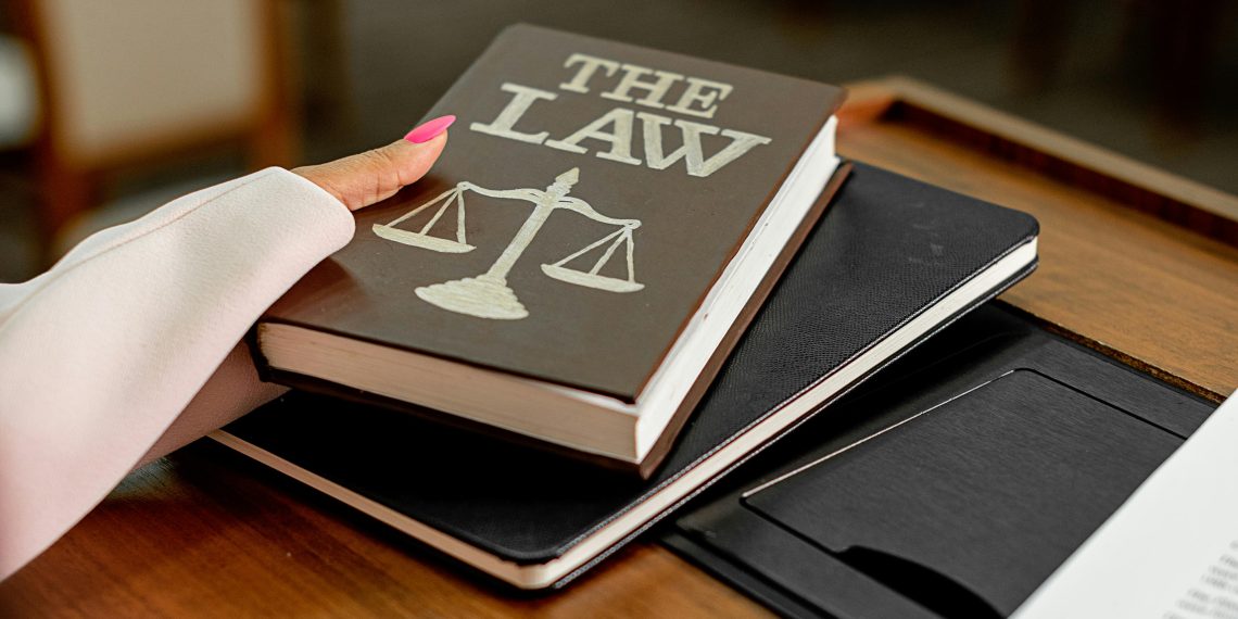 Photo by Mikhail Nilov: https://www.pexels.com/photo/a-person-holding-a-the-law-book-8731037/