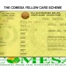 How To Apply For COMESA Yellow Card Insurance