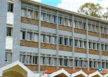 KUCCPS Application Guide: Full List of International Leadership University Courses, Cutoffs & How to Apply