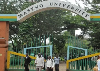 How to Download Your Maseno University Admission Letter for 2025: All You Need to Know