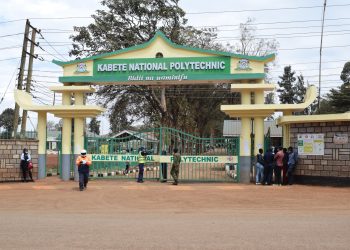 How to Download Your Kabete National Polytechnic Admission Letter 2026: All You Need to Know