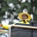 How Museveni Keeps Winning Elections in a Changing Uganda
