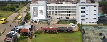 A Comprehensive List of the Best Private Primary Schools in Lang’ata