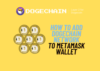 Complete Guide to Adding DogeChain Network to MetaMask Using the Official Bridge