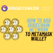 Complete Guide to Adding DogeChain Network to MetaMask Using the Official Bridge