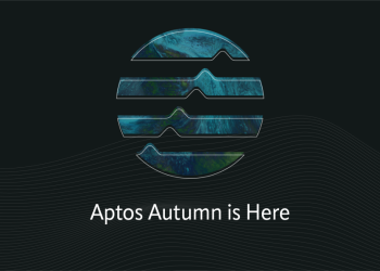 How to Connect to Aptos Mainnet Using a Custom RPC in Your Wallet
