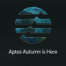 How to Connect to Aptos Mainnet Using a Custom RPC in Your Wallet