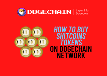 How to Buy DogeChain Meme Tokens on DogeSwap Without Getting Lost