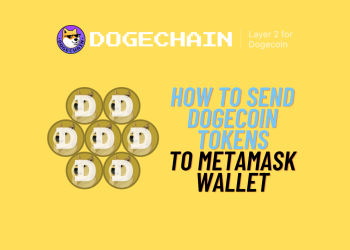 Sending Dogecoin from an Exchange to DogeChain via MetaMask: A Complete Safety Guide