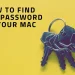 Forgot Your Wi-Fi Password on Mac? Here’s How to Retrieve It in Minutes