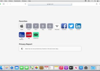 Safari Cache Cleanup Guide: How to Remove Browsing Data on Mac and iPhone