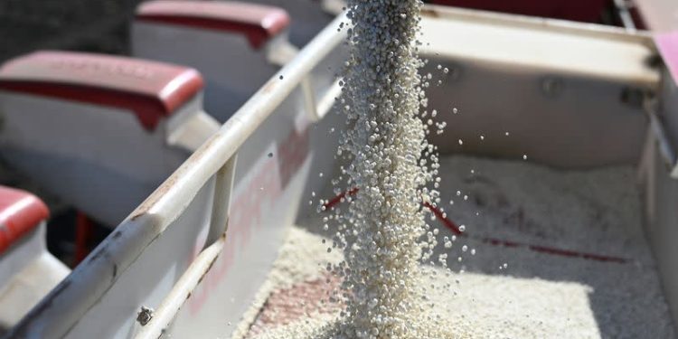 Russian Fertiliser Supply Disrupted by Drone Strikes